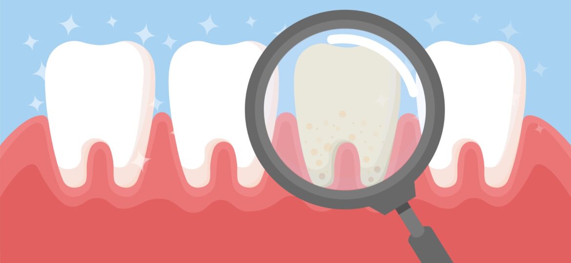 Dentist Medical Concept
